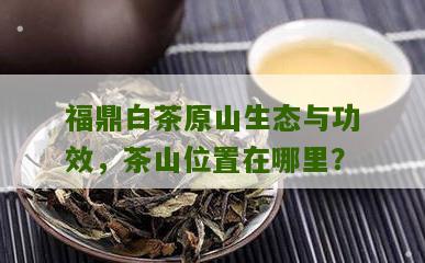 福鼎白茶原山生态与功效，茶山位置在哪里？