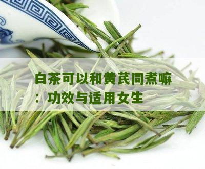 白茶可以和黄芪同煮嘛：功效与适用女生