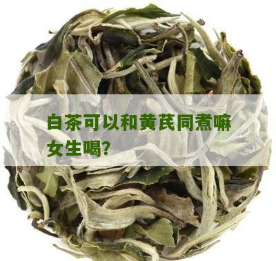 白茶可以和黄芪同煮嘛女生喝？