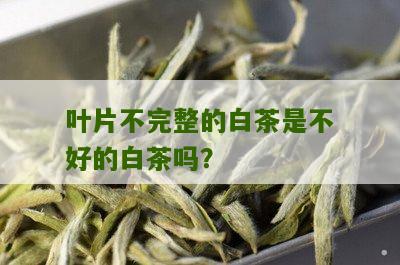 叶片不完整的白茶是不好的白茶吗？