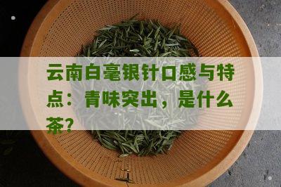 云南白毫银针口感与特点：青味突出，是什么茶？