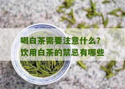 喝白茶需要注意什么？饮用白茶的禁忌有哪些