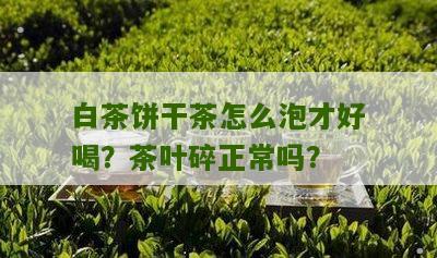 白茶饼干茶怎么泡才好喝？茶叶碎正常吗？