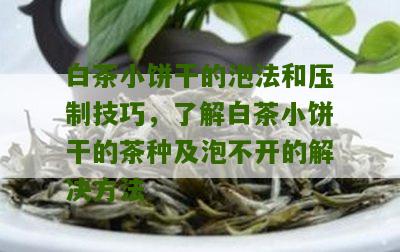 白茶小饼干的泡法和压制技巧，了解白茶小饼干的茶种及泡不开的解决方法