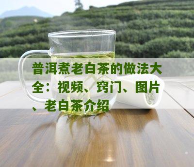 普洱煮老白茶的做法大全：视频、窍门、图片、老白茶介绍