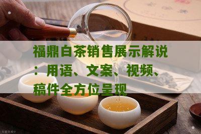 福鼎白茶销售展示解说：用语、文案、视频、稿件全方位呈现