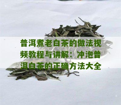 普洱煮老白茶的做法视频教程与讲解：冲泡普洱白茶的正确方法大全