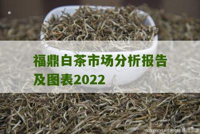 福鼎白茶市场分析报告及图表2022