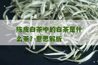 陈皮白茶中的白茶是什么茶？意思解析