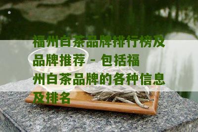 福州白茶品牌排行榜及品牌推荐 - 包括福州白茶品牌的各种信息及排名