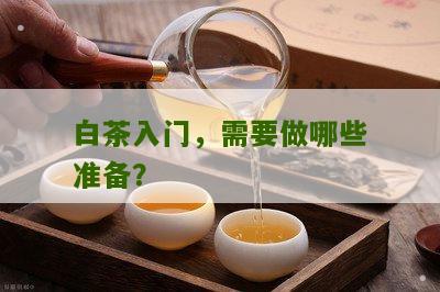 白茶入门，需要做哪些准备？