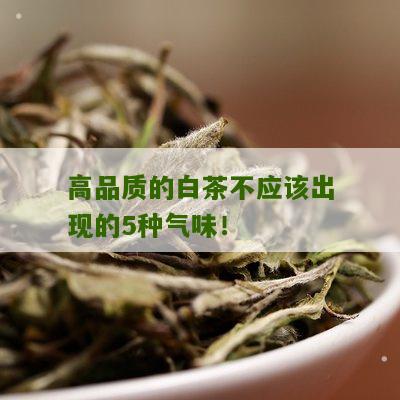 高品质的白茶不应该出现的5种气味！