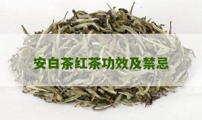 安白茶红茶功效及禁忌