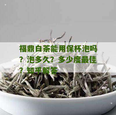 福鼎白茶能用保杯泡吗？泡多久？多少度最佳？知乎解答