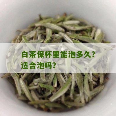 白茶保杯里能泡多久？适合泡吗？