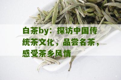 白茶by：探访中国传统茶文化，品尝名茶，感受茶乡风情