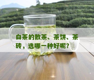 白茶的散茶、茶饼、茶砖，选哪一种好呢？