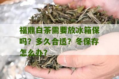 福鼎白茶需要放冰箱保吗？多久合适？冬保存怎么办？