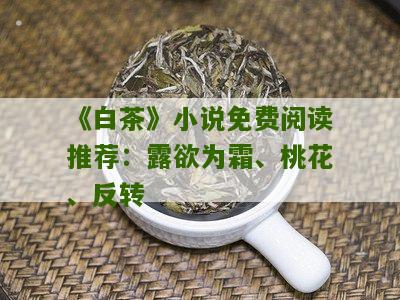 《白茶》小说免费阅读推荐：露欲为霜、桃花、反转