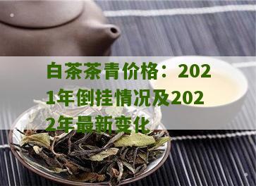 白茶茶青价格：2021年倒挂情况及2022年最新变化