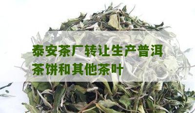 泰安茶厂转让生产普洱茶饼和其他茶叶