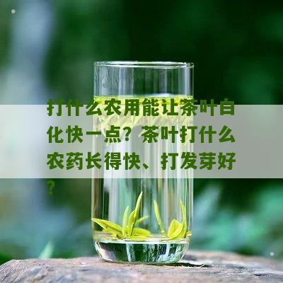 打什么农用能让茶叶白化快一点？茶叶打什么农药长得快、打发芽好？