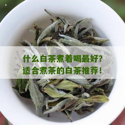 什么白茶煮着喝最好？适合煮茶的白茶推荐！