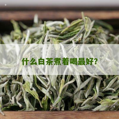 什么白茶煮着喝最好？