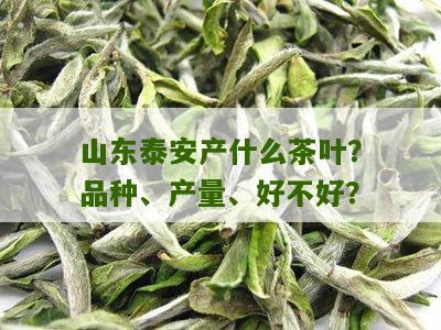 山东泰安产什么茶叶？品种、产量、好不好？