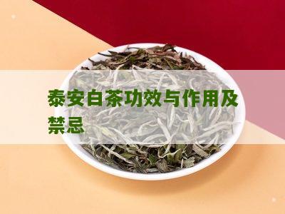 泰安白茶功效与作用及禁忌