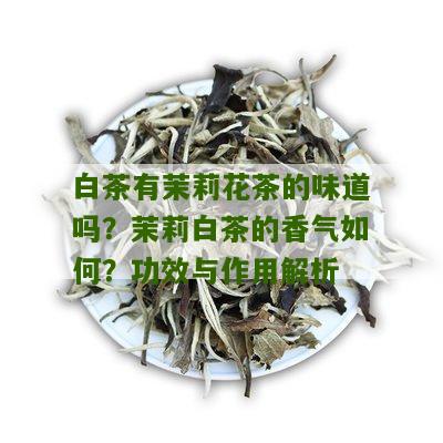 白茶有茉莉花茶的味道吗？茉莉白茶的香气如何？功效与作用解析