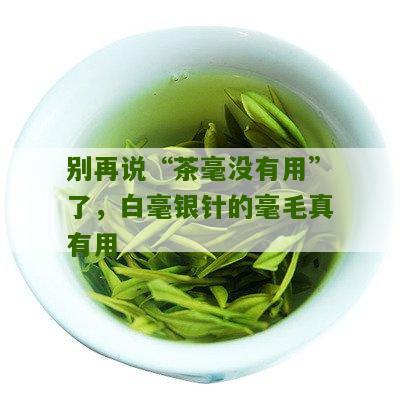 别再说“茶毫没有用”了，白毫银针的毫毛真有用