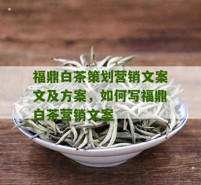 福鼎白茶策划营销文案文及方案，如何写福鼎白茶营销文案