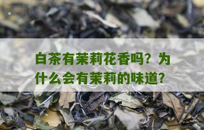 白茶有茉莉花香吗？为什么会有茉莉的味道？