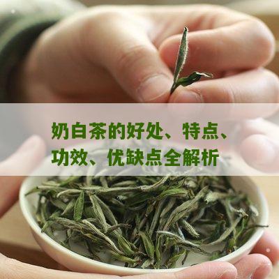 奶白茶的好处、特点、功效、优缺点全解析