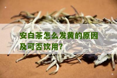 安白茶怎么发黄的原因及可否饮用？