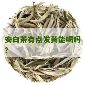 安白茶有点发黄能喝吗？