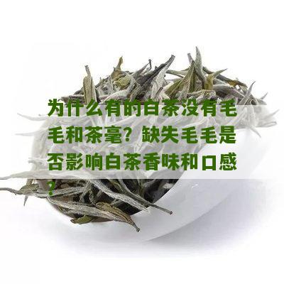 为什么有的白茶没有毛毛和茶毫？缺失毛毛是否影响白茶香味和口感？