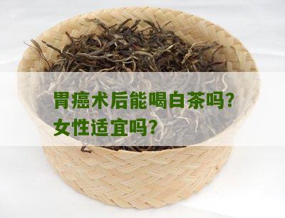 胃癌术后能喝白茶吗？女性适宜吗？