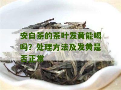 安白茶的茶叶发黄能喝吗？处理方法及发黄是否正常