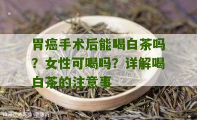 胃癌手术后能喝白茶吗？女性可喝吗？详解喝白茶的注意事