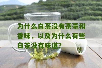 为什么白茶没有茶毫和香味，以及为什么有些白茶没有味道？