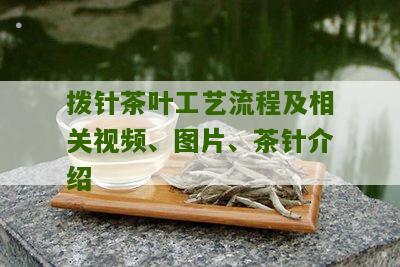 拨针茶叶工艺流程及相关视频、图片、茶针介绍