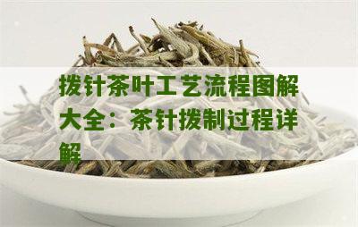 拨针茶叶工艺流程图解大全：茶针拨制过程详解