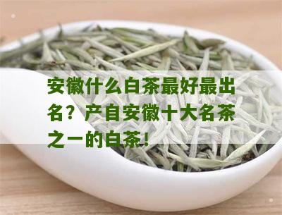 安徽什么白茶最好最出名？产自安徽十大名茶之一的白茶！