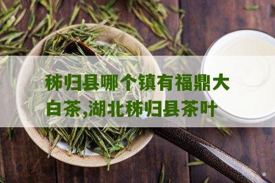 秭归县哪个镇有福鼎大白茶,湖北秭归县茶叶