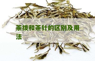 茶拨和茶针的区别及用法