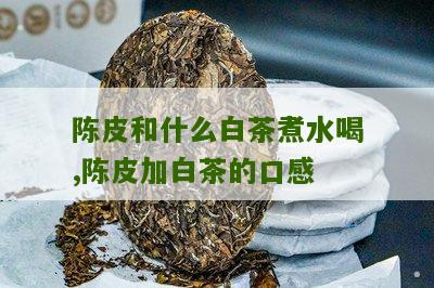 陈皮和什么白茶煮水喝,陈皮加白茶的口感