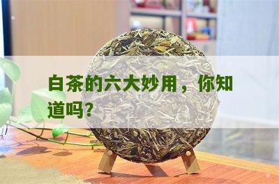 白茶的六大妙用，你知道吗？