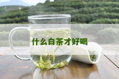 什么白茶才好喝